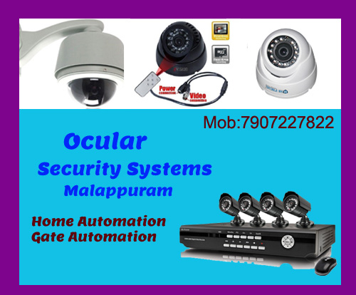 Ocular Security System